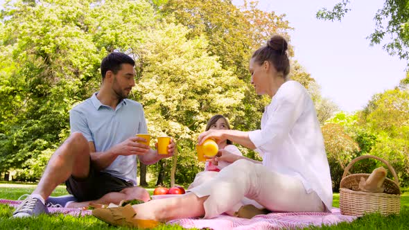 Happy Family Drinking Juice on Picnic at Park