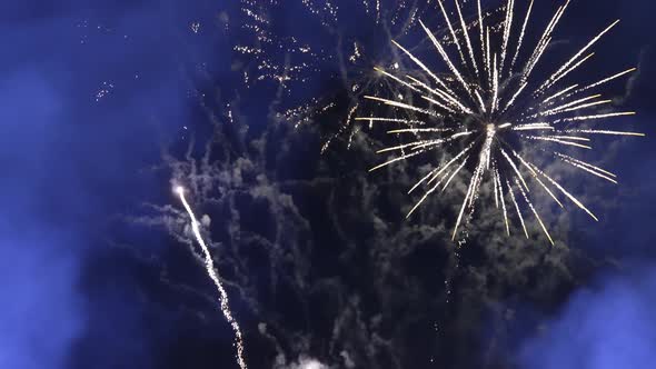 Beautiful Fireworks Display in the Night Sky