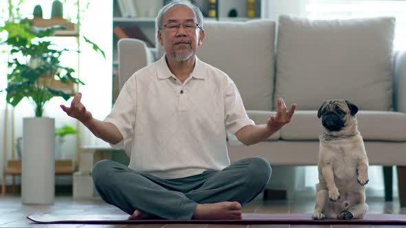 Asian elderly senior man doing yoga with dog pug breed in living room at home