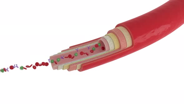 Medical Scan Of Vein Detects Covid-19 Infection Cells Among Red Blood Cells alt