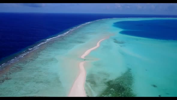 Aerial drone seascape of tropical lagoon beach wildlife by aqua blue ocean and white sandy backgroun