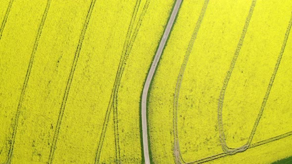 Drone flight over rapeseed field in Hochtaunuskreis, Germany