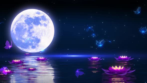 Night Water Surface Butterfly Flying Particle Rising Background