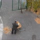 An elderly janitor sweeping autumn yellow foliage in the courtyard of the house - VideoHive Item for Sale