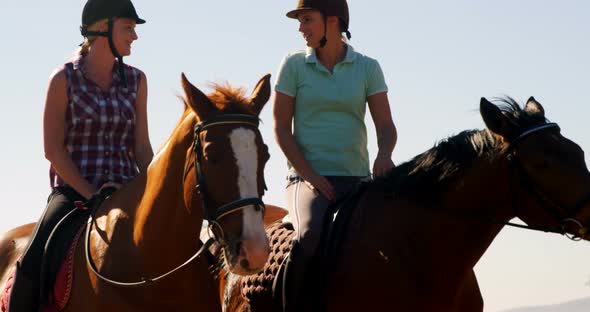 Friends giving high five while riding horse 4k