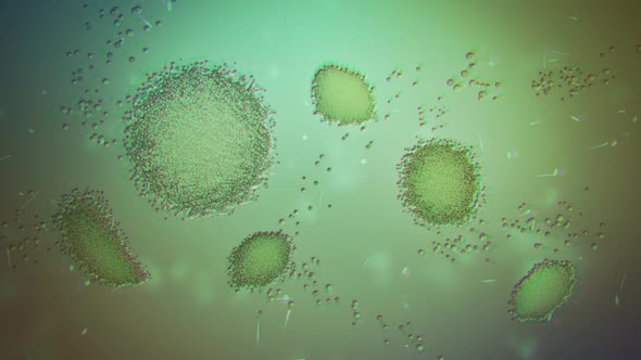 CG animation of macro close-up chloroplasts in algae cells under the microscope.