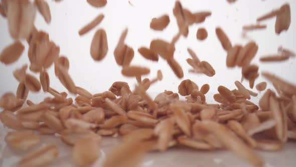 Camera follows sliced peanuts falling on surface. Slow Motion.