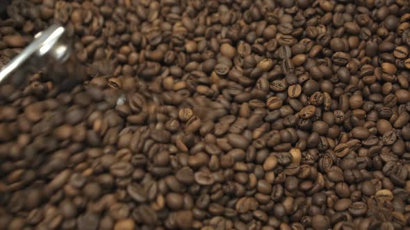 Closeup View of Stirring Coffee Beans in Grinder Machine