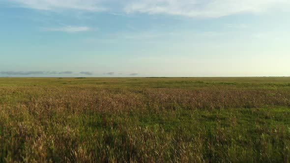 Beautiful Flyover Florida Everglades 4k