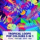 Tropical Loops Pop Colours  5 In 1 - VideoHive Item for Sale
