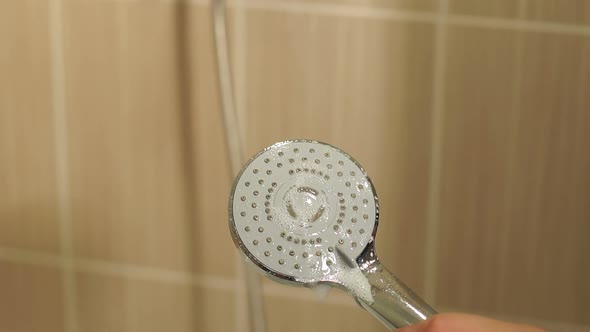 Girl Cleans a Shower Head in the Bathroomcloseup