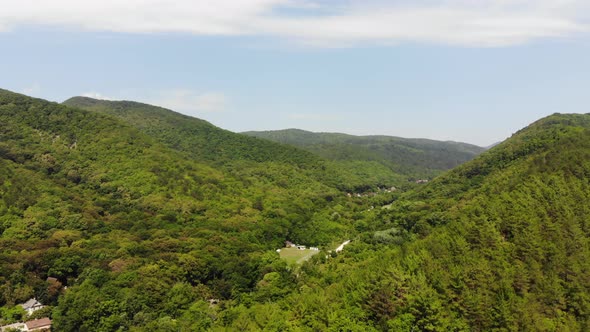 Aerial of flying over a beautiful green forest in a rural landscape.