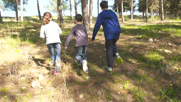 Young kids running together on green hills outdoors in nature