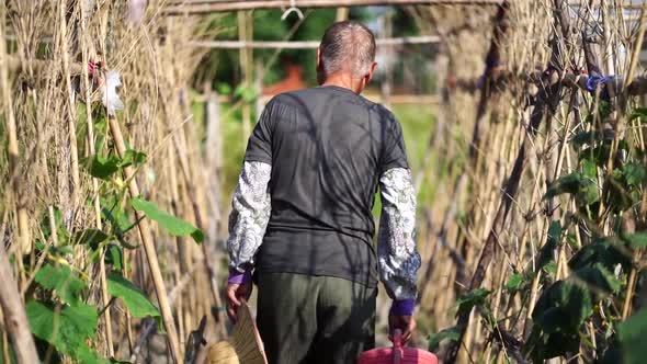 Ethnic farmer in straw hat on plantation in countryside