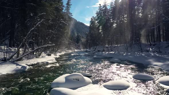 Beautiful Snow Scene Forest in Winter