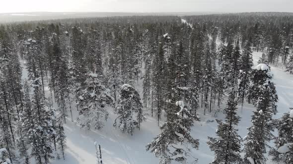 Empty road and forest near Saariselkaa, Lapland, Finland