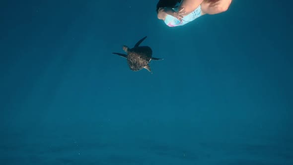 Freediver and Turtle in Natural Habitat. Slow Motion Underwater Contact of Beautiful Girl Swim Next
