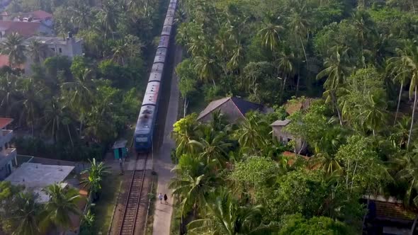 Aerial Shot the Old Train Rides Through the Tropics with Palm Trees and Villas