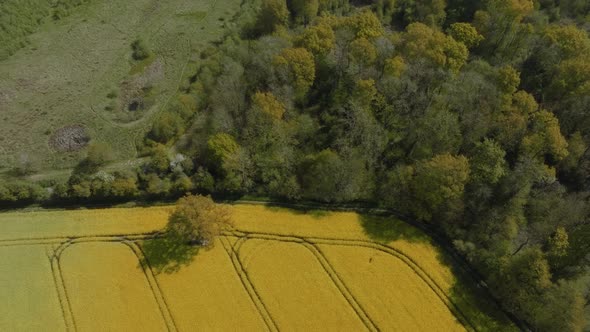 Springtime University Of Warwick Campus Countryside Aerial View