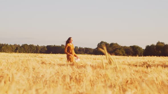 Pregnant woman in the rays of the sunset in the field