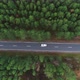 Aerial Photography of a Car Driving Through a Pine Forest - VideoHive Item for Sale