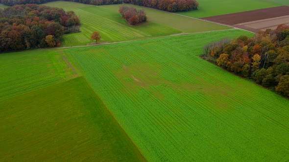 Aerial view of agricultural fields. fields at farmland.