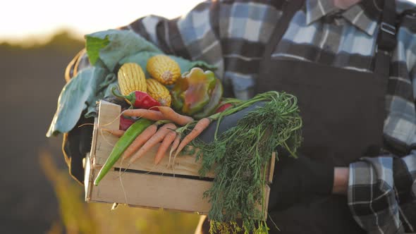 Crop of Vegetables