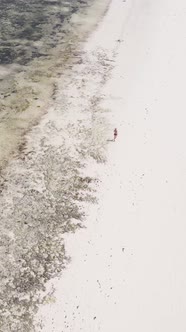 Vertical Video of Low Tide in the Ocean Near the Coast of Zanzibar Tanzania