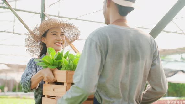 Attractive young man and women agriculturist looking and check quality of green oaks at greenhouse.