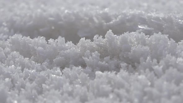 Rime Ice Crystals and Hoar Frost in Winter