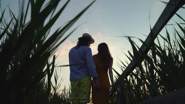 Rear view of a couple walking on a field