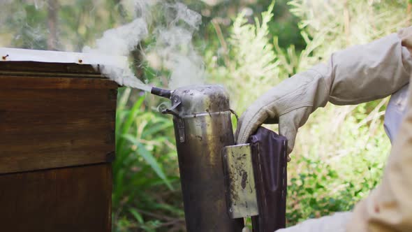 Caucasian male beekeeper in protective clothing using smoker to calm bees in a beehive