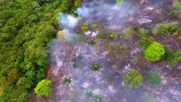 Aerial view overlooking smoking forest, a wild fire, burning in Jungle, in Congo, Central Africa - p