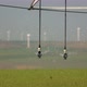 Pivot Irrigation On A Vegetable Field With Turbines In The Background - VideoHive Item for Sale