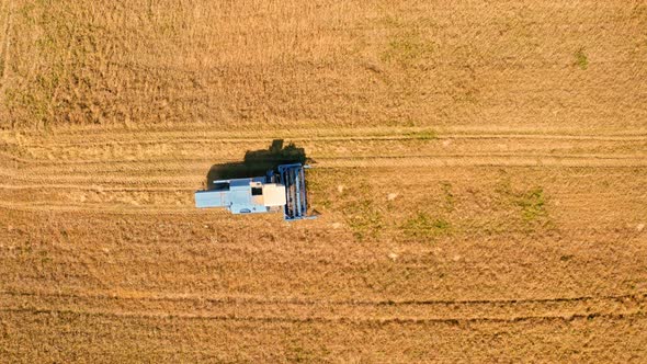 Combine harvesting field in summer, agriculture in Poland, Europe