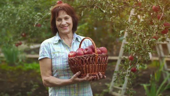 Woman with a Basket of Apples