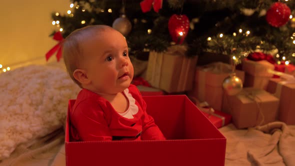 Baby Girl Sitting in Gift Box Over Christmas Tree