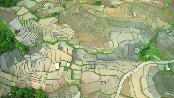 Aerial video of drones flying over rice terraces 