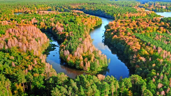 Forest and turning river at sunset in autumn, aerial view