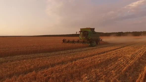 Combine Harvester, Field and Sky