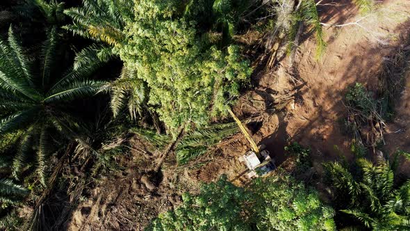 Aerial view excavator clear the land