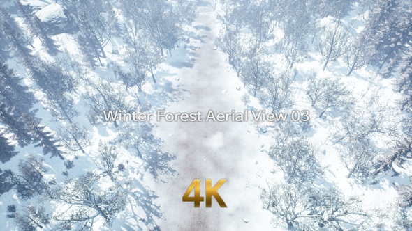 Winter Forest Aerial View 4K 03