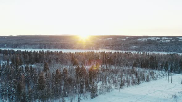 Aerial View of the Sunset in the Winter Forest