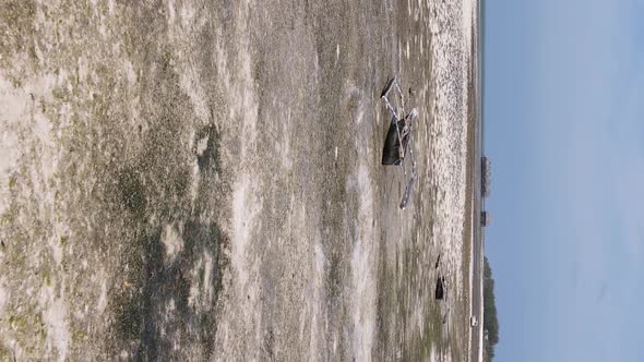 Zanzibar Tanzania  Vertical Video of Low Tide in the Ocean Near the Coast Slow Motion