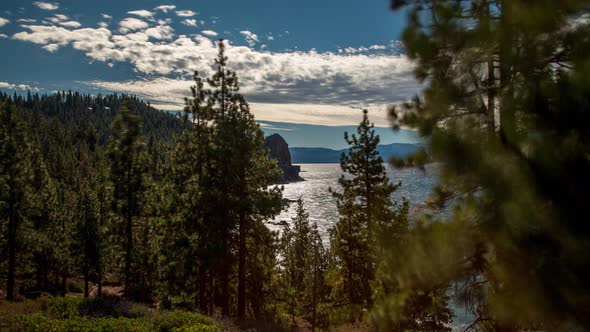 Lake Tahoe Forest Time Lapse