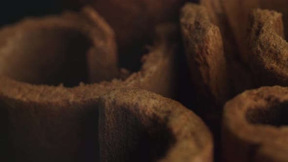 Cinnamon sticks on a dark background