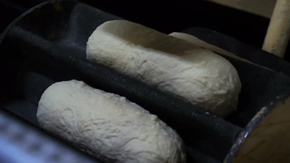 Making of Bread in the Bakery Factory. Loaf of Bread on the Production Line in the Baking Industry