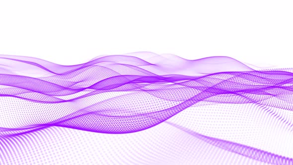 Digital Purple Color Particle Line Wave Animation On White Background