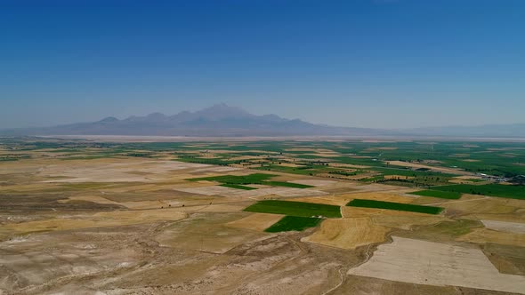 Agriculture Fields