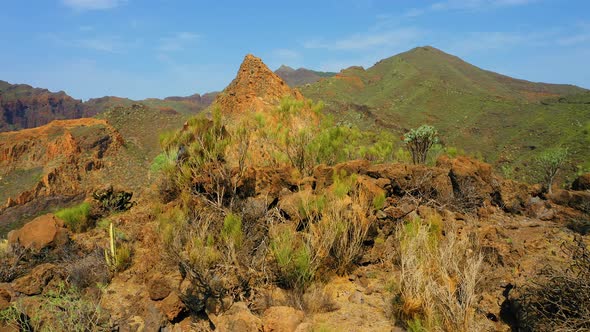 Tenerife Canary Island